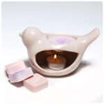 EcoSoya Melt Plant-based Candle Soy Wax