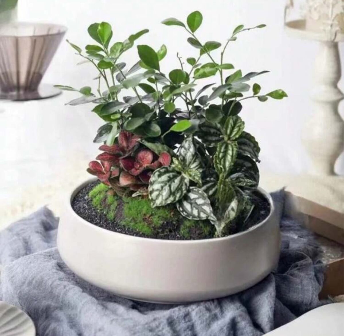 Premium Round Cement Flower Pot Mold – DIY Gypsum & Resin Storage Bowl - Image 10