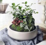 Premium Round Cement Flower Pot Mold – DIY Gypsum & Resin Storage Bowl - Image 10